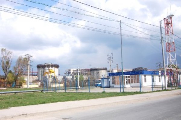 Mihai Darie, desemnat director financiar la SN Nuclearelectrica SA
